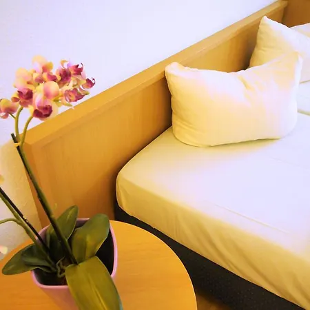 Apartment Boardinghaus Haehn Koblenz (Rhineland-Palatinate)